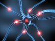 Neuronale Zelle 2