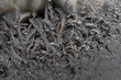 Frosty pattern