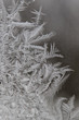 Frosty pattern
