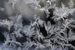 Frosty pattern