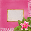 Beautiful pink lily flower on the abstract background with lace