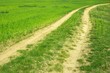 Dirtroad