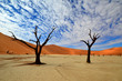 Dead Vlei in Namib desert,Namibia,Africa