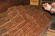 Exposition of unique cuban cigars