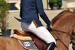 Auf dem Pferd reiten, reiten, im Galopp, im Trab Auf dem Pferd reiten, reiten, im Galopp, im Trab