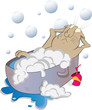 The cat bathes in a bath