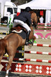 Reitsport, Pferdesport, Reiten, Springreiten, Hürdenspringen Reitsport, Pferdesport, Reiten, Springreiten, Hürdenspringen