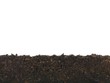 Garden Soil