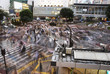 Tokyo Shibuya Crossing Rushhour