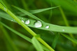 gouttes de pluie