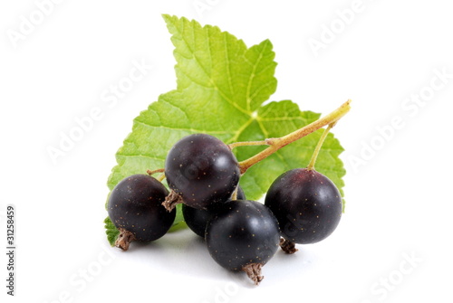 Photo: Schwarze Johannisbeeren mit Blättern, blackcurrant Schwarze Johannisbeeren mit Blättern, blackcurrant