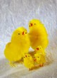 Easter Chicks; Toy Chicks