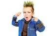 rock artist