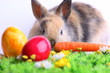 Osterhase