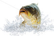 Fische 99
