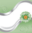 Vektor: Grüne Blume mit Wellen und Spiralen Grüne Blume mit Wellen und Spiralen