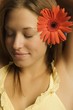 Brunette Model With Gerbera Daisy