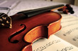 violino