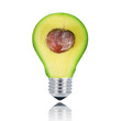 avocado lampadina
