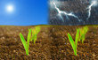 Regen und Sonne