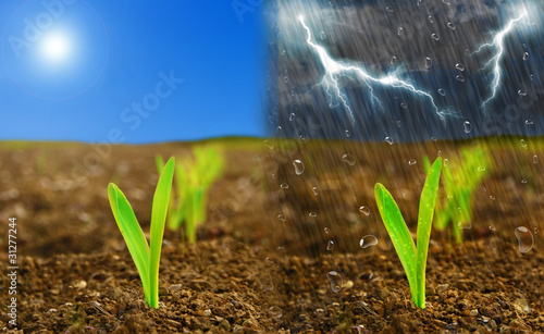 Photo: Regen und Sonne Regen und Sonne