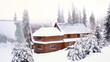Winter house