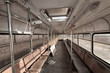 ����: Autobus � Blende-8 #31280800