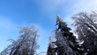 Clouds