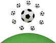Soccer balls isolated on white background, green grass