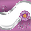 Vektor: Violette Blüte mit Wellen und Spiralen Violette Blüte mit Wellen und Spiralen