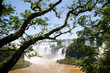 cataratas de iguazu