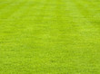 Perfectly mowed lawn in spring