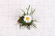 Foto: Blume im Puzzle Blume im Puzzle