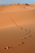 canvas print picture Sahara Desert