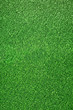 canvas print picture - Gruener Kunstrasen, Green Grass