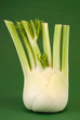 fennel