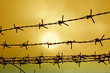 wire fence