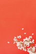 赤い背景のソメイヨシノ