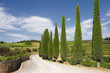 A typical landscape of Tuscany