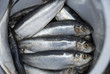 fisch
