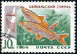 postage stamp postage stamp