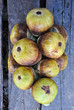 toddy palm fruit