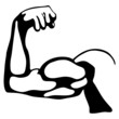 man's arm