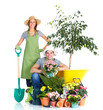 Gardening