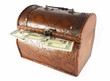 Dollar protruding from the chest