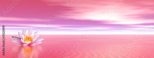 Illustration: Lily flower in pink ocean Lily flower in pink ocean