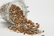 Foto: Müsli - Cerealien, Muesli - Cereal Müsli - Cerealien, Muesli - Cereal