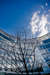 office building with tree