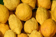 Foto: Cedri Cedri