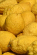 Foto: Cedro Cedro